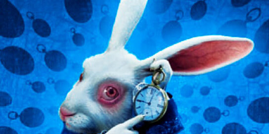 white rabbit